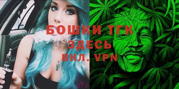 прущий лед Щигры
