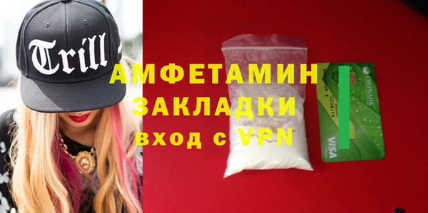 гашик Каменка