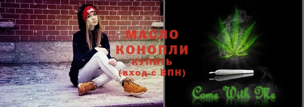 гашик Каменка