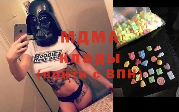 гашик Каменка