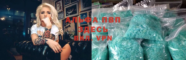 гашик Каменка
