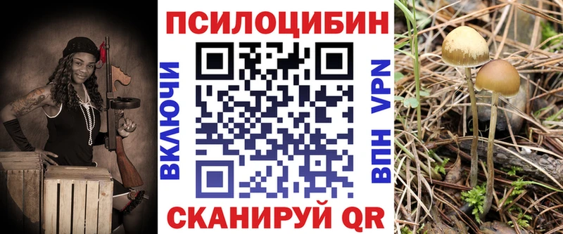 Купить где  Лебедянь  Галлюциногенные грибы мухоморы 